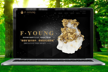 ���߸������ﱦʯ